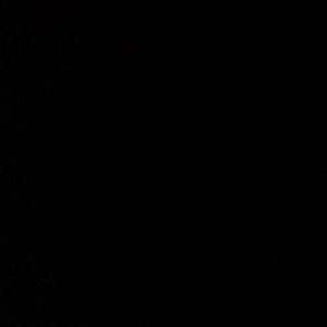 Meet your Posher, Bobby